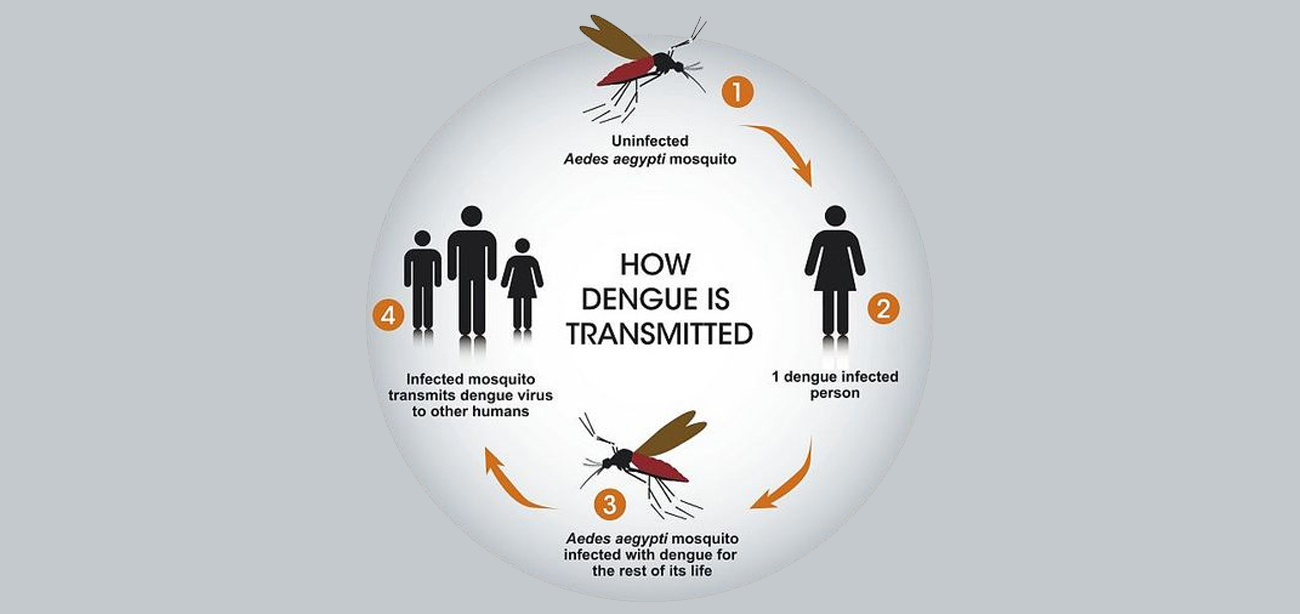 acute fever conditions treatment in borivali mumbai