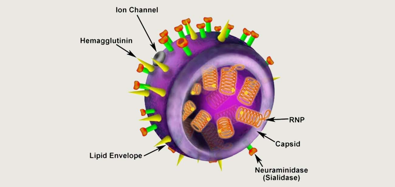 acute fever conditions treatment in borivali mumbai