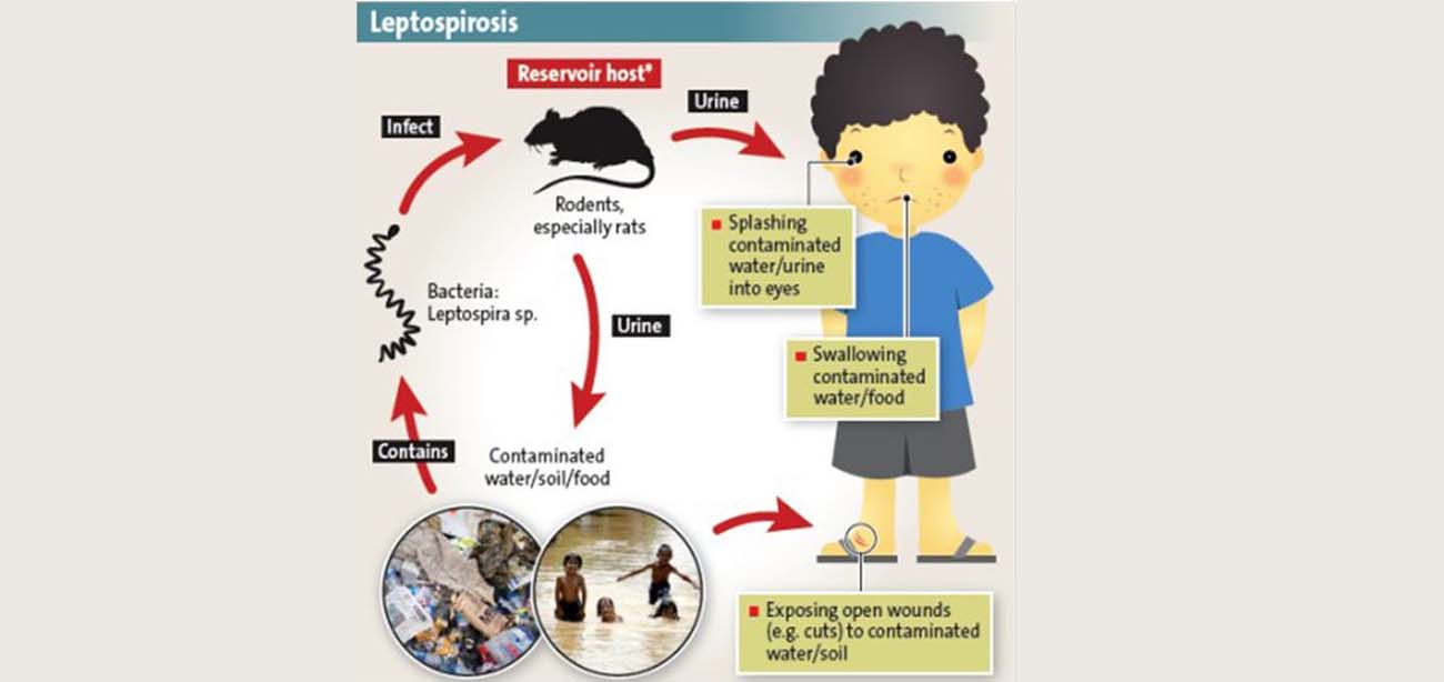 acute fever conditions treatment in borivali mumbai